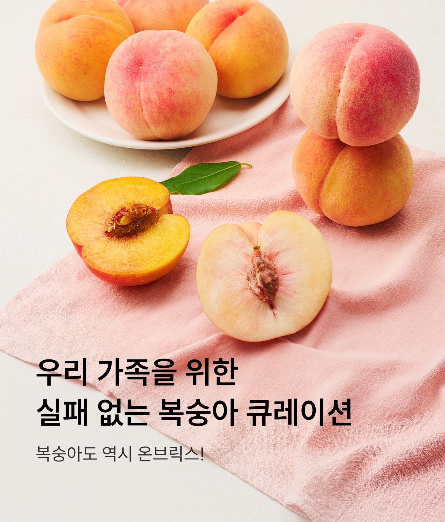 복숭아 큐레이션