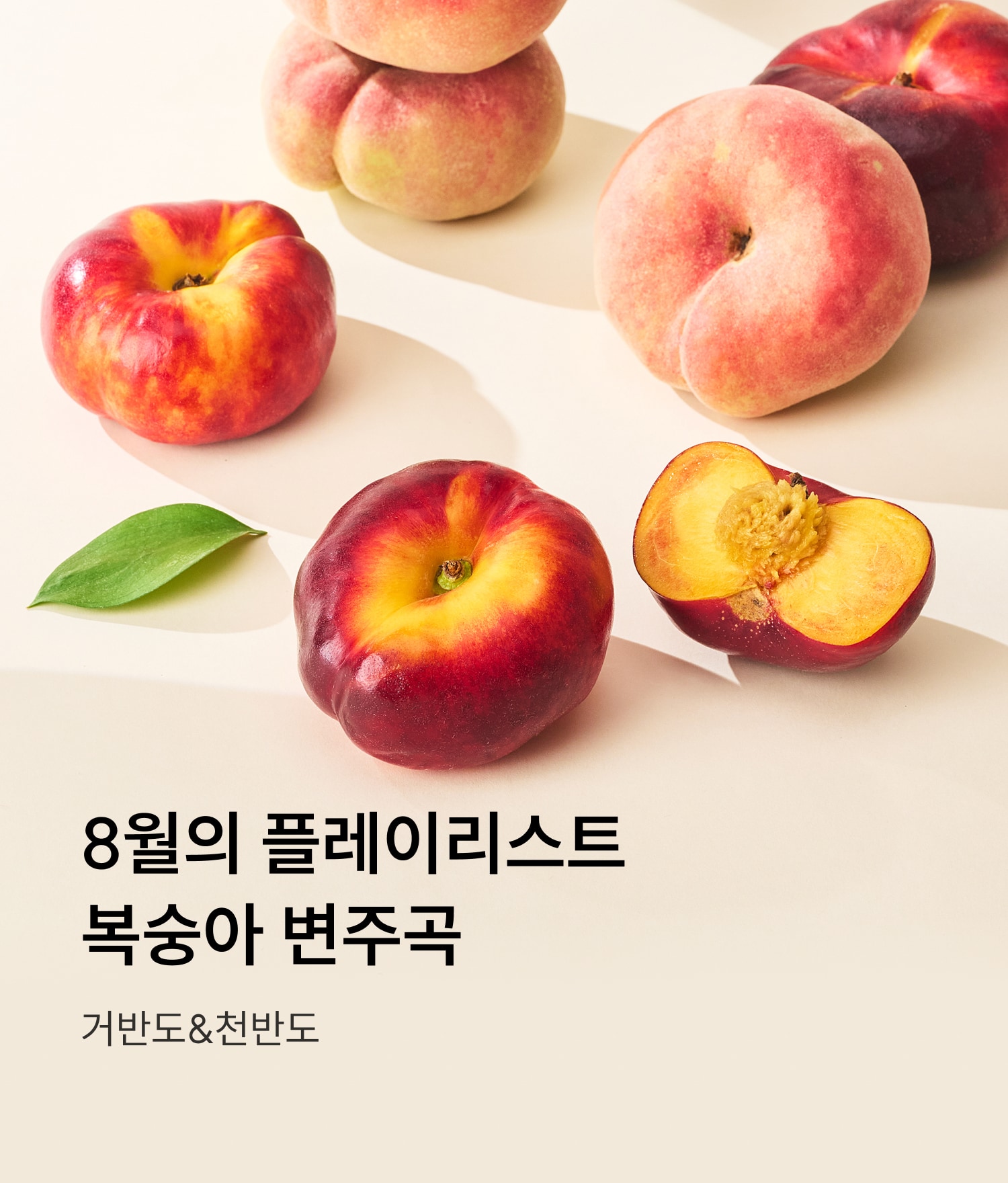 스토리