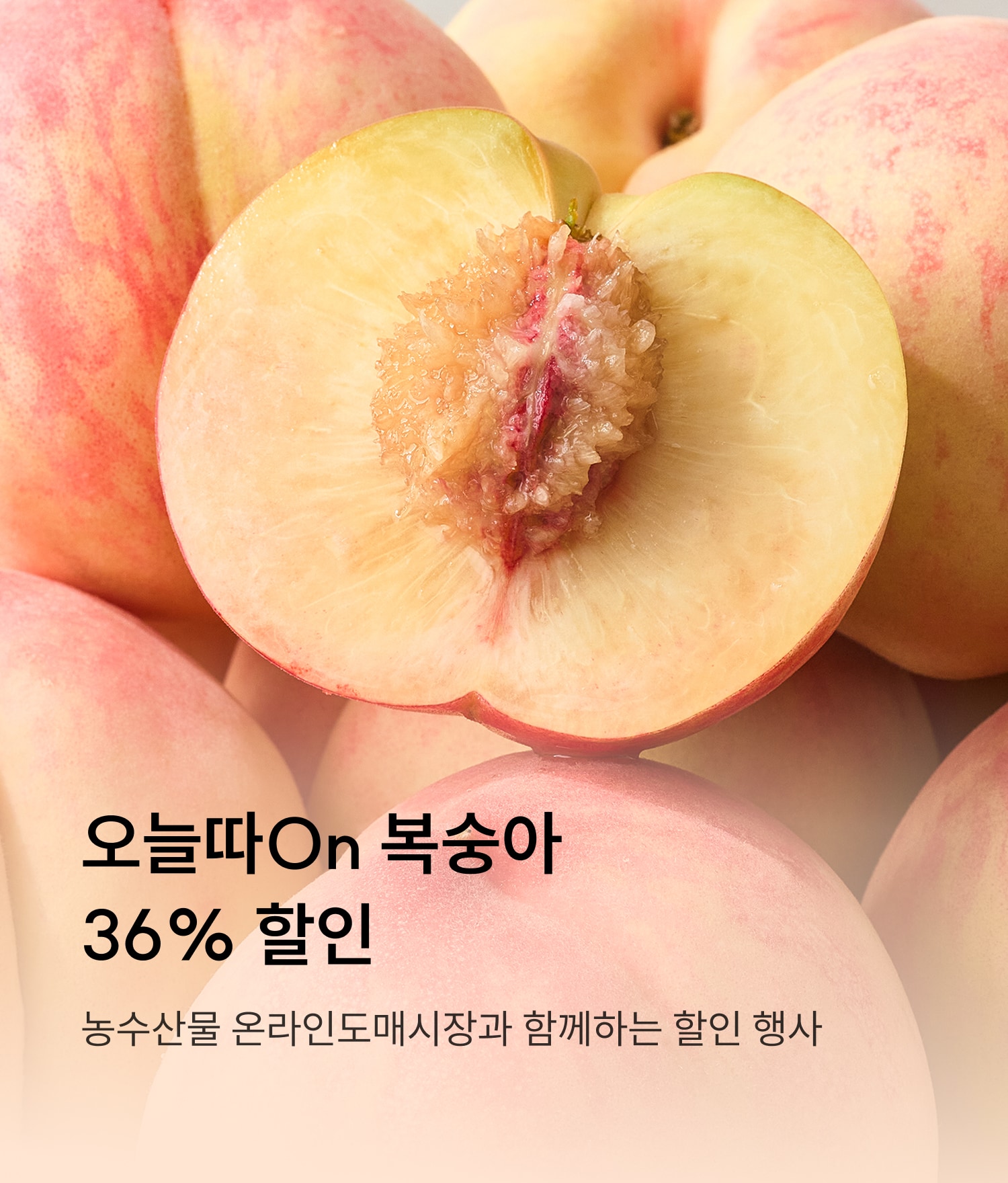 농수산물온라인도매시장
