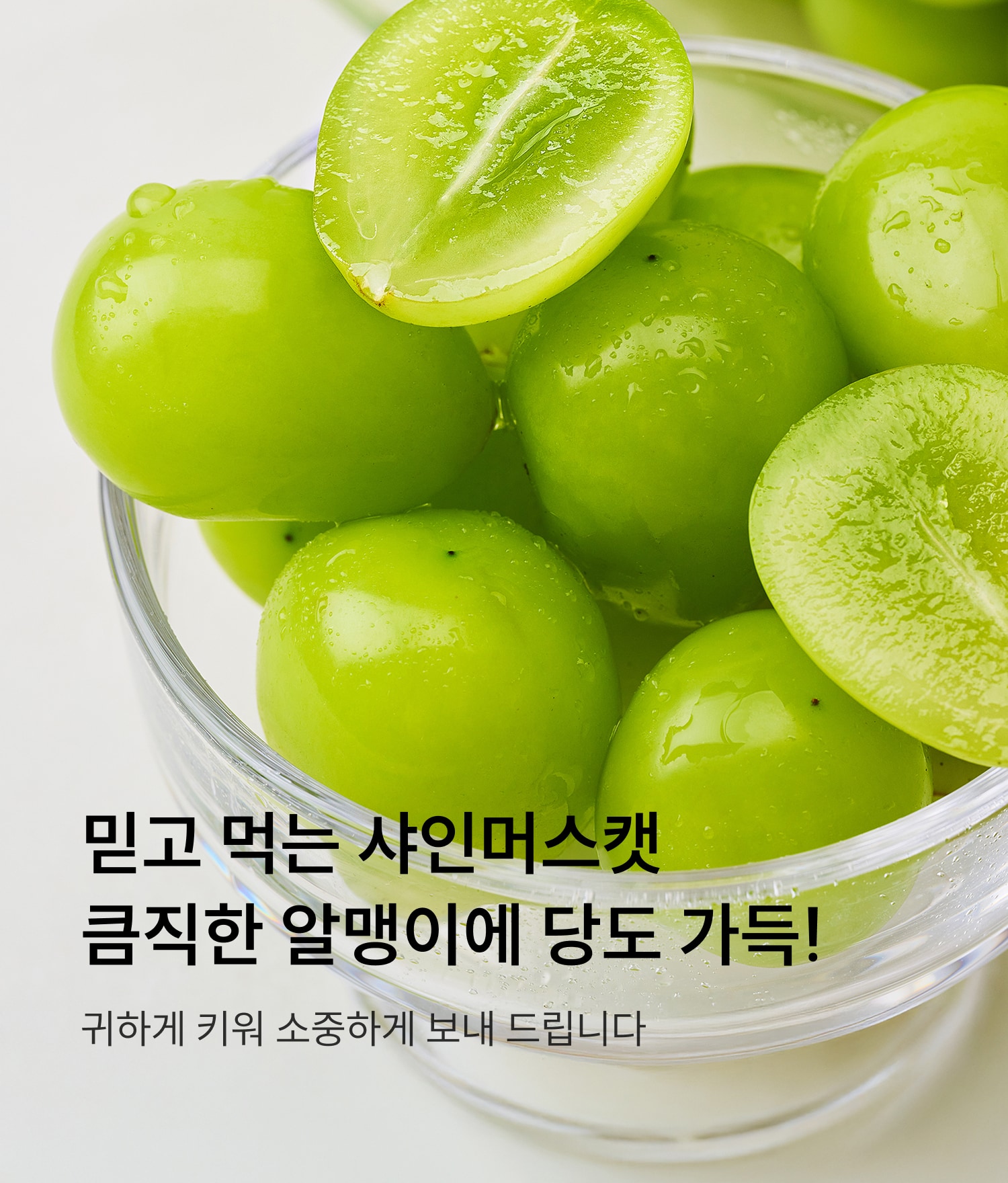 샤인머스켓