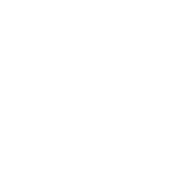 온리브릭스