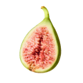 청무화과
