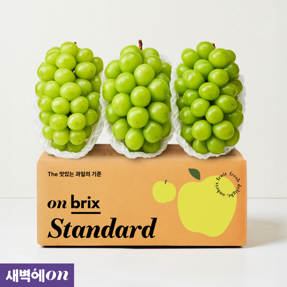 [새벽에On] 연간 50만 송이 판매, 고당도 수출용 상주 샤인머스켓 (17Brix)