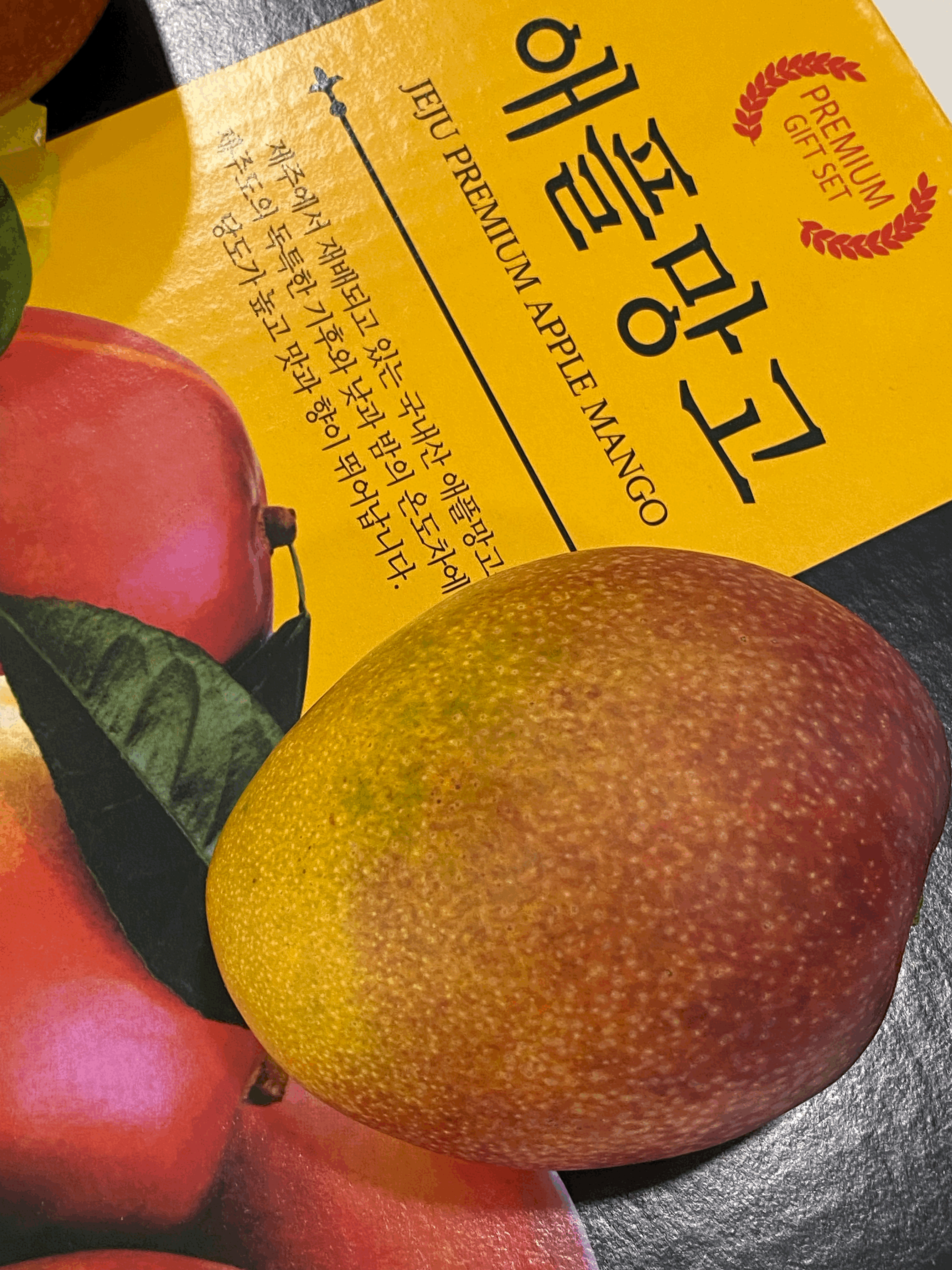 이미지없음