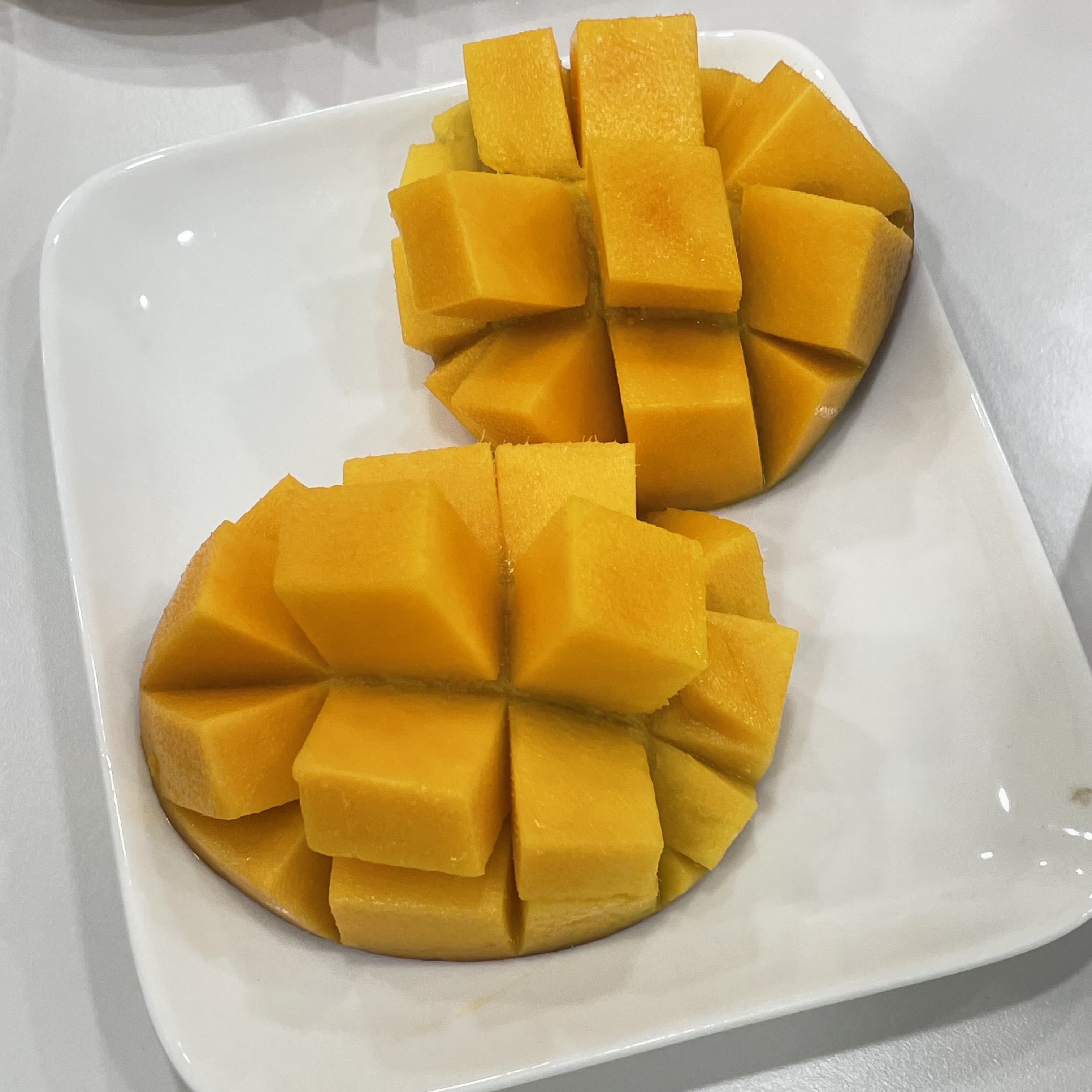 이미지없음
